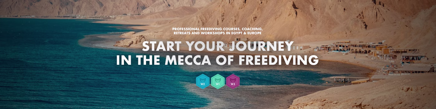 freediving courses Dahab
